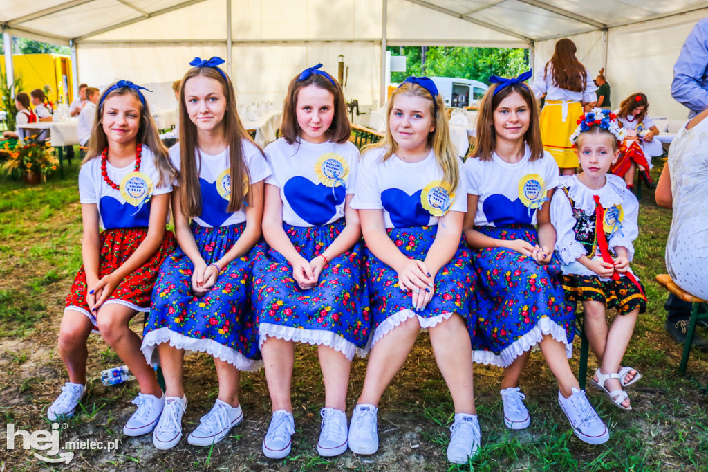 Dożynki 2019 w Borkach Nizińskich