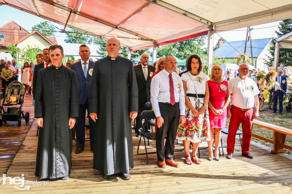 Dożynki 2019 w Borkach Nizińskich