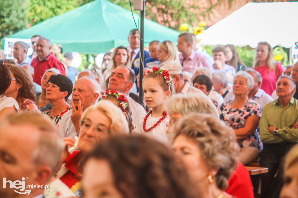 Dożynki 2019 w Borkach Nizińskich