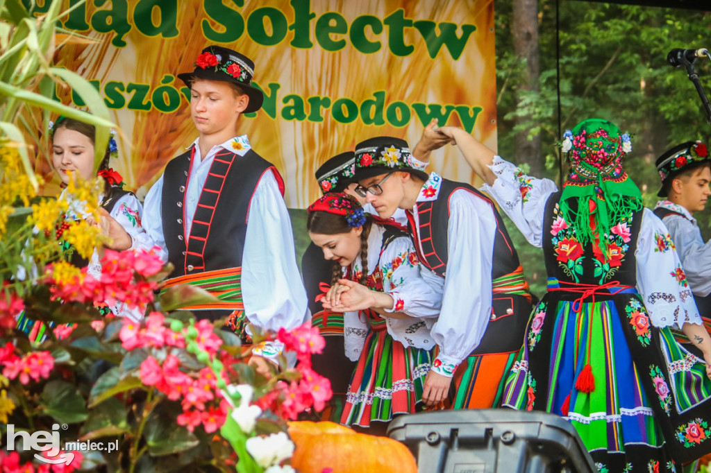 Dożynki 2019 w Borkach Nizińskich