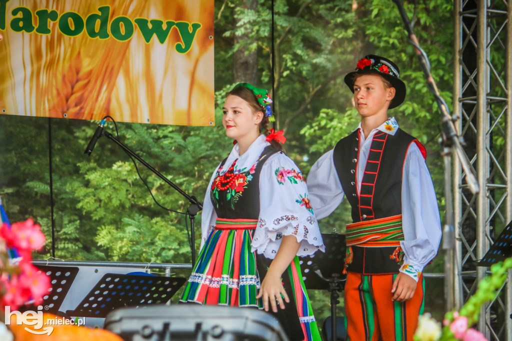 Dożynki 2019 w Borkach Nizińskich