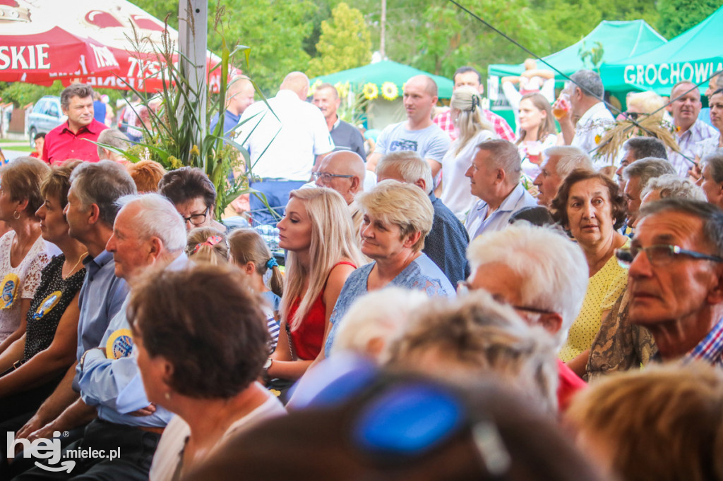 Dożynki 2019 w Borkach Nizińskich