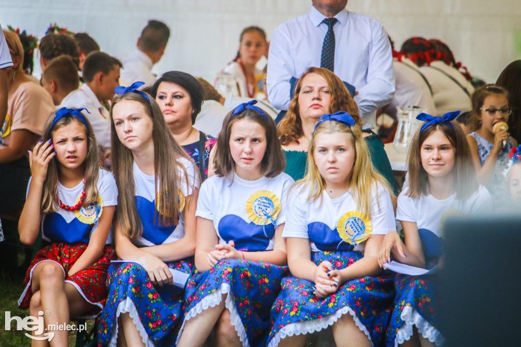 Dożynki 2019 w Borkach Nizińskich