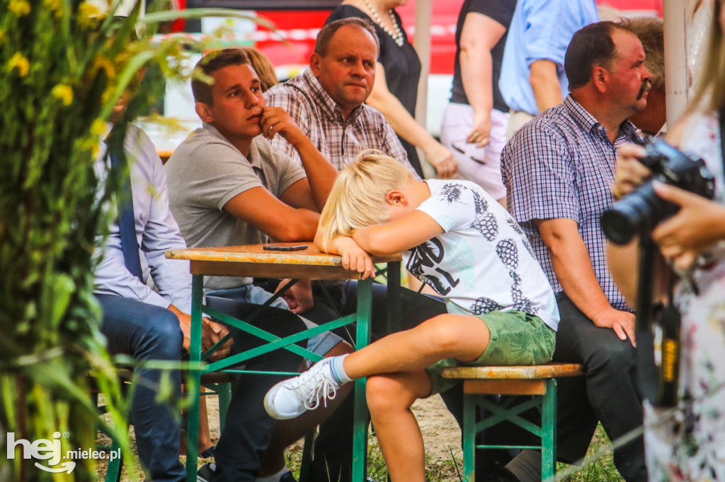 Dożynki 2019 w Borkach Nizińskich