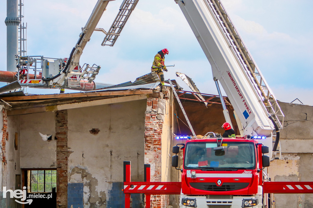Pożar w tartaku w Czajkowej