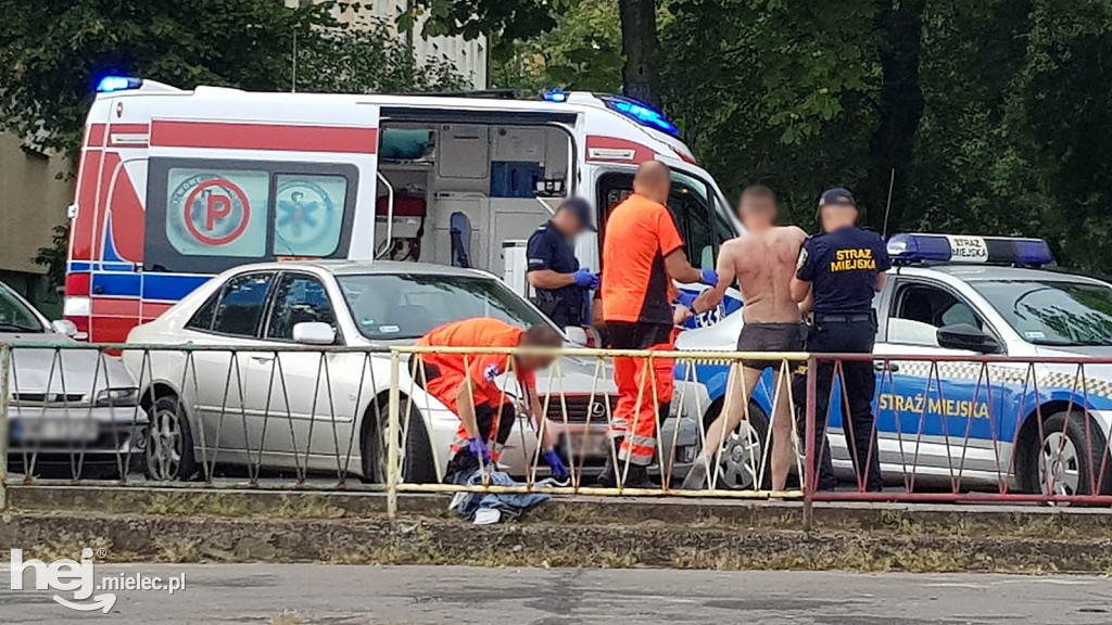 Królowie życia z centrum Mielca