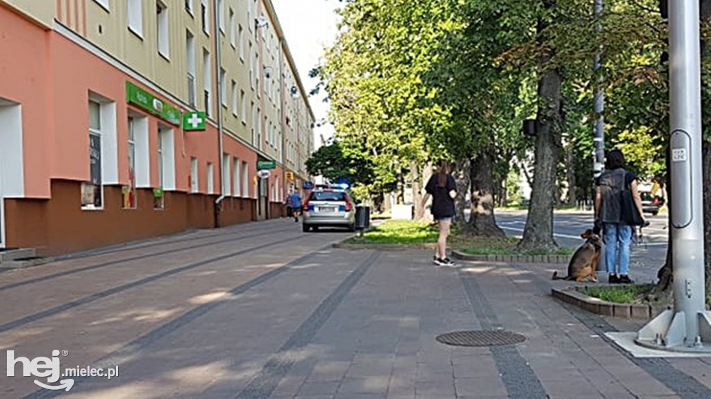 Królowie życia z centrum Mielca