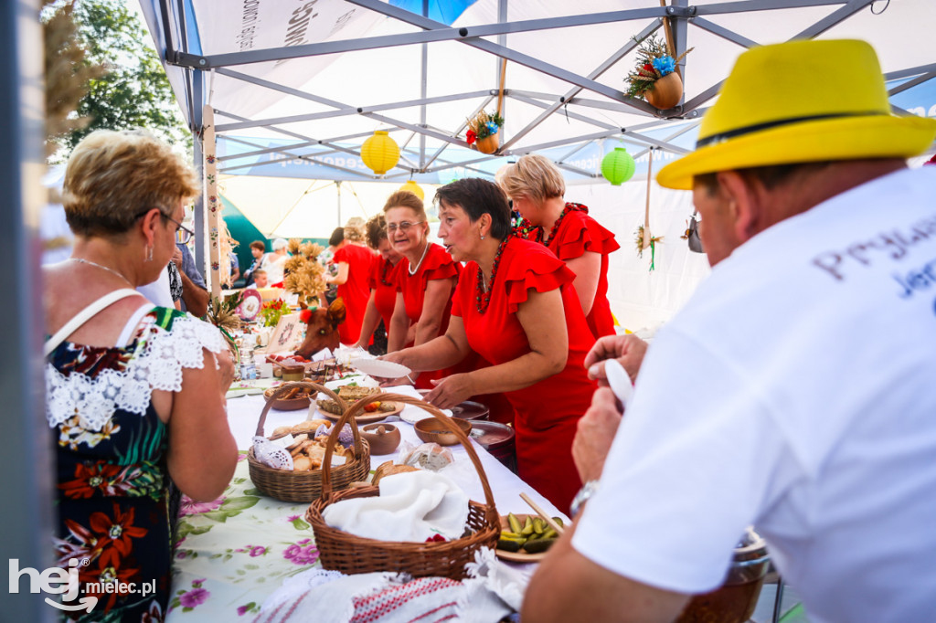Dożynki Powiatu Mieleckiego 2019