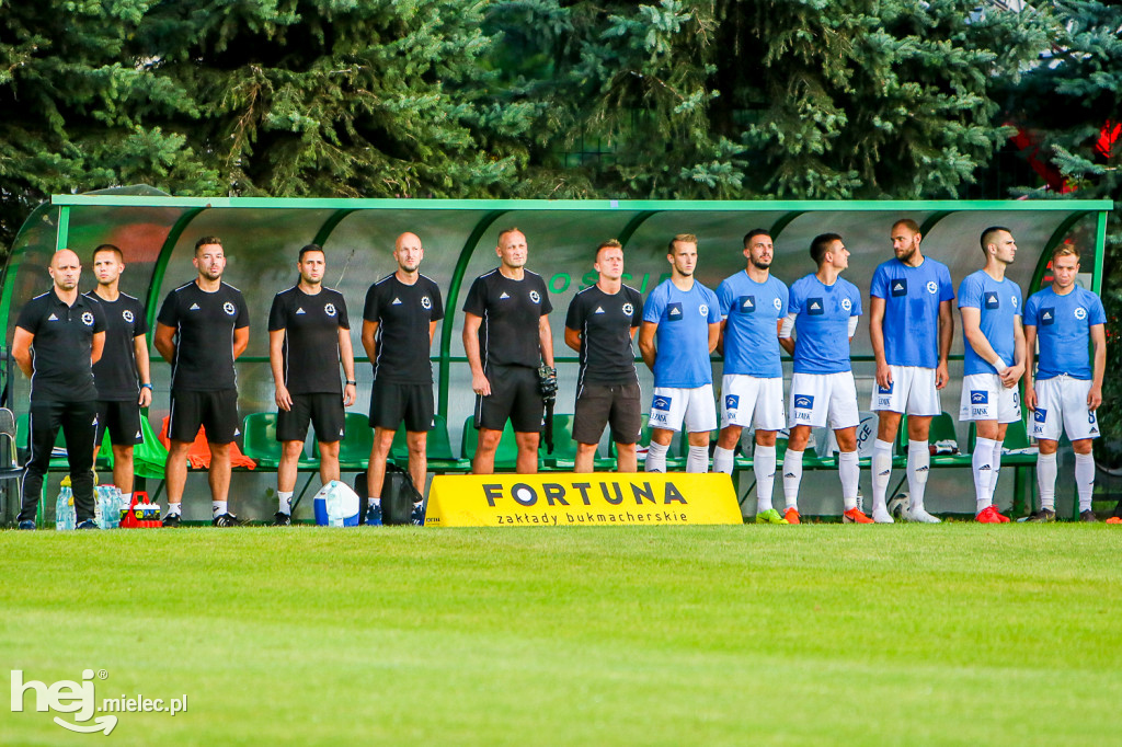 Puszcza Niepołomice - PGE FKS Stal Mielec