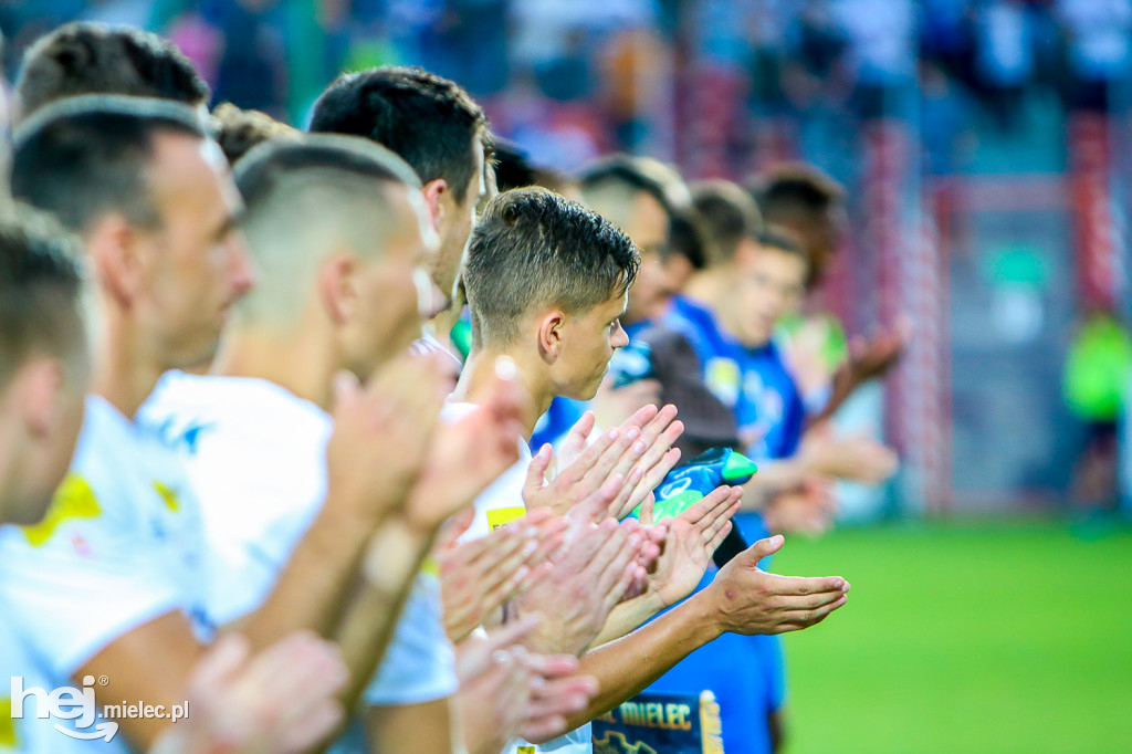 Puszcza Niepołomice - PGE FKS Stal Mielec