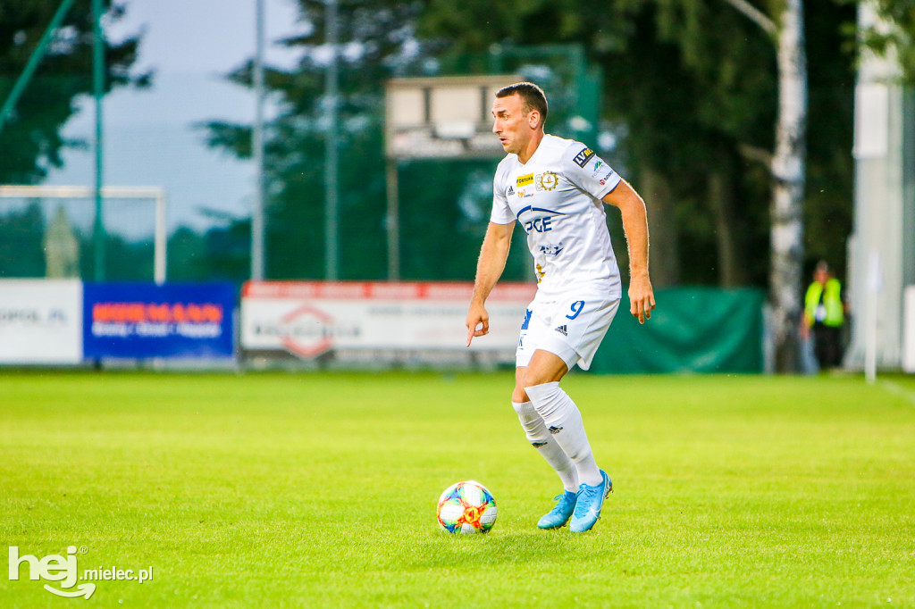 Puszcza Niepołomice - PGE FKS Stal Mielec