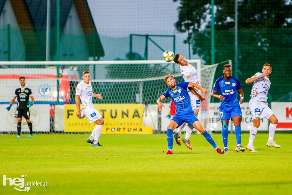 Puszcza Niepołomice - PGE FKS Stal Mielec