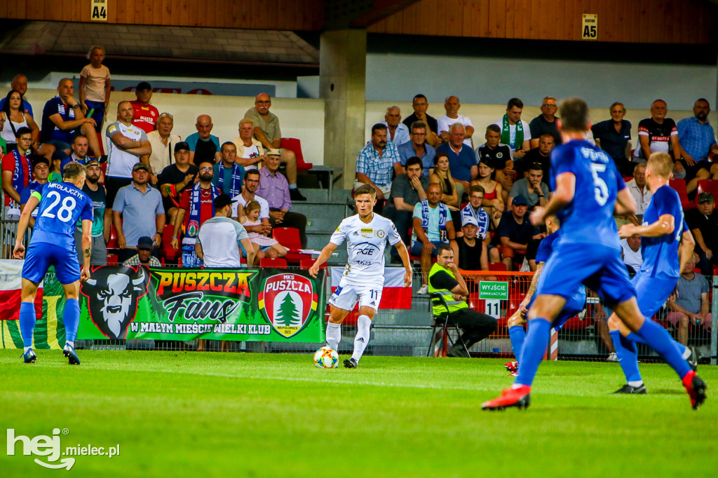 Puszcza Niepołomice - PGE FKS Stal Mielec