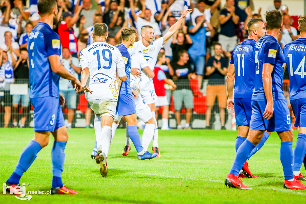 Puszcza Niepołomice - PGE FKS Stal Mielec