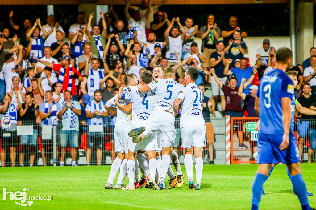Puszcza Niepołomice - PGE FKS Stal Mielec