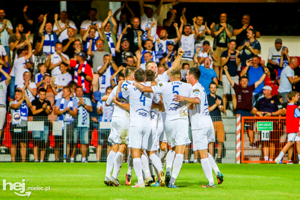 Puszcza Niepołomice - PGE FKS Stal Mielec