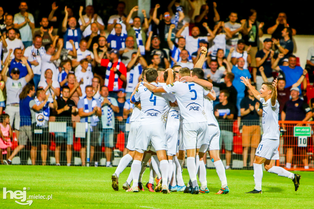 Puszcza Niepołomice - PGE FKS Stal Mielec