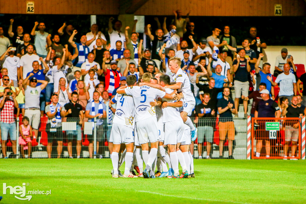 Puszcza Niepołomice - PGE FKS Stal Mielec