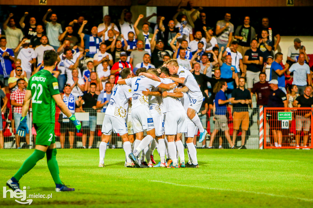 Puszcza Niepołomice - PGE FKS Stal Mielec