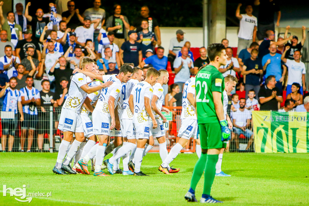 Puszcza Niepołomice - PGE FKS Stal Mielec