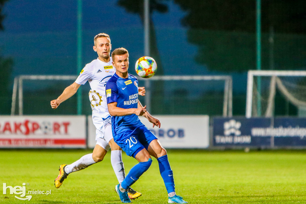 Puszcza Niepołomice - PGE FKS Stal Mielec