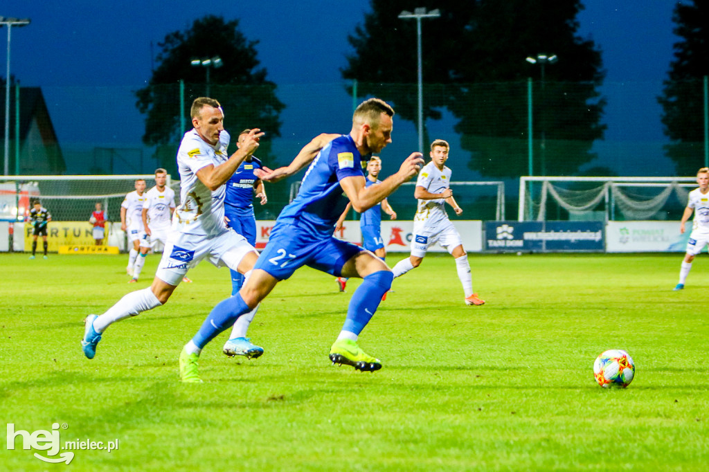 Puszcza Niepołomice - PGE FKS Stal Mielec