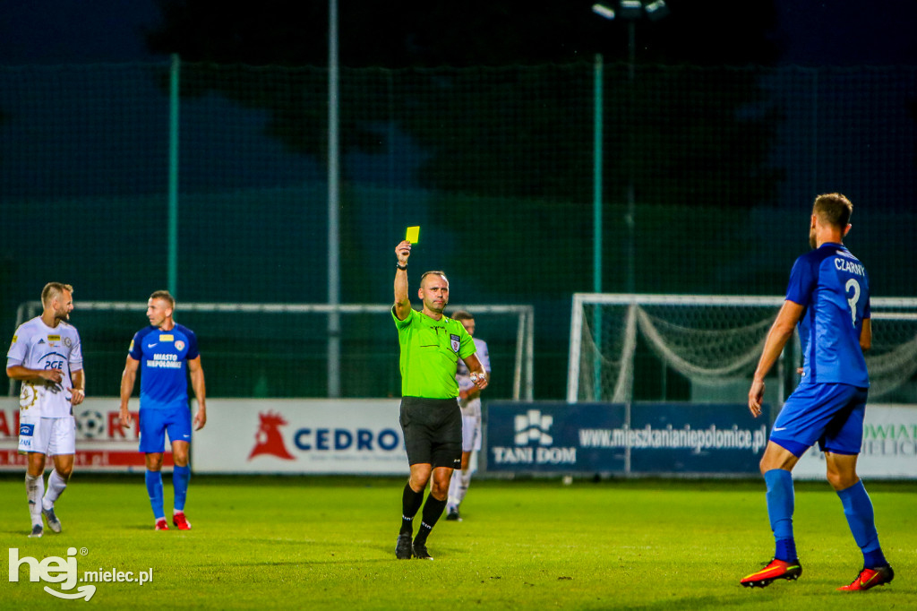 Puszcza Niepołomice - PGE FKS Stal Mielec