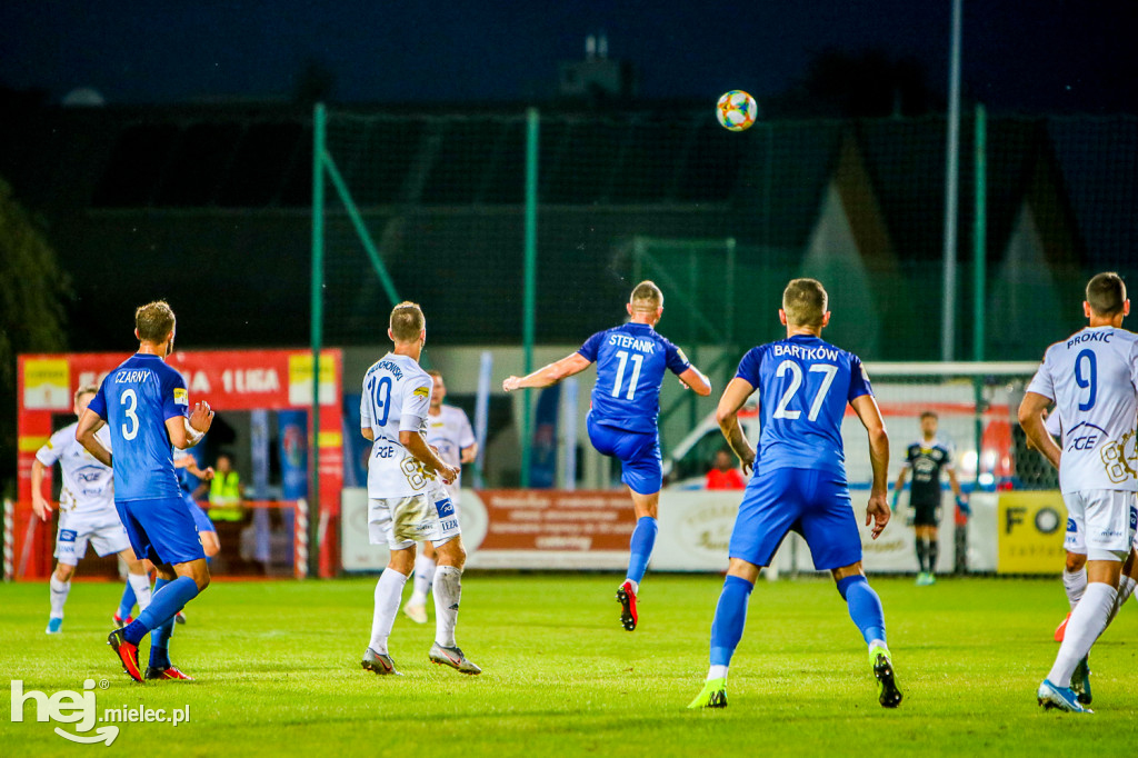 Puszcza Niepołomice - PGE FKS Stal Mielec
