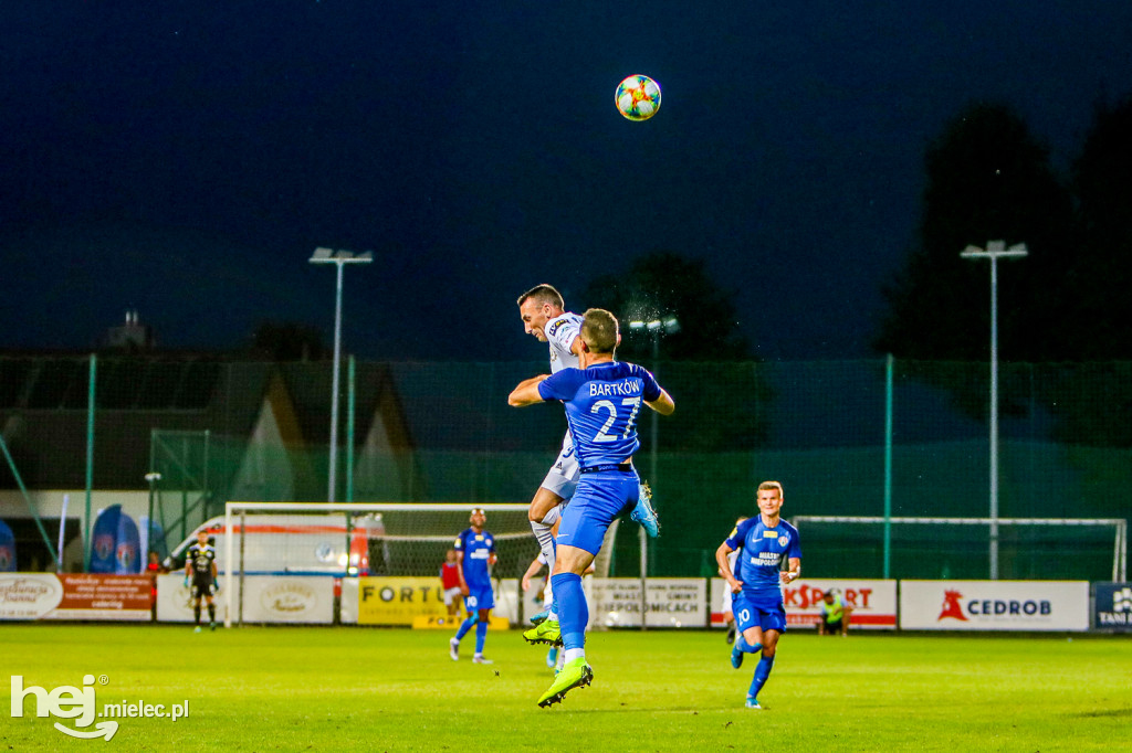 Puszcza Niepołomice - PGE FKS Stal Mielec