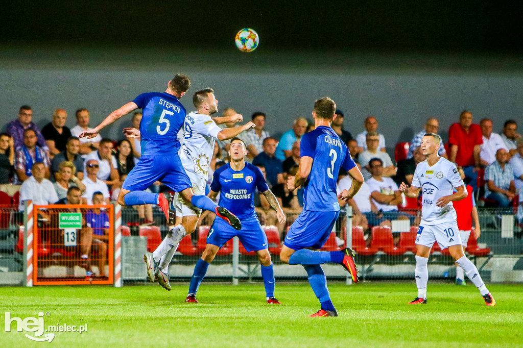Puszcza Niepołomice - PGE FKS Stal Mielec