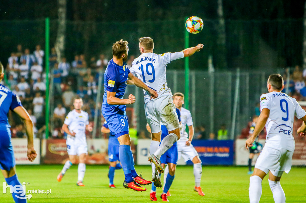 Puszcza Niepołomice - PGE FKS Stal Mielec