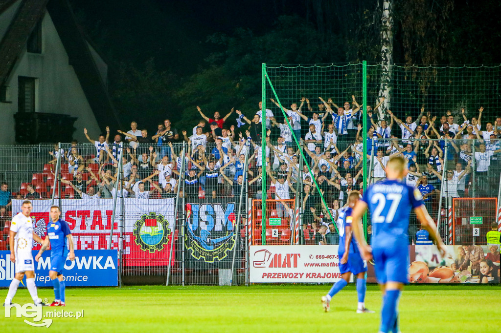 Puszcza Niepołomice - PGE FKS Stal Mielec