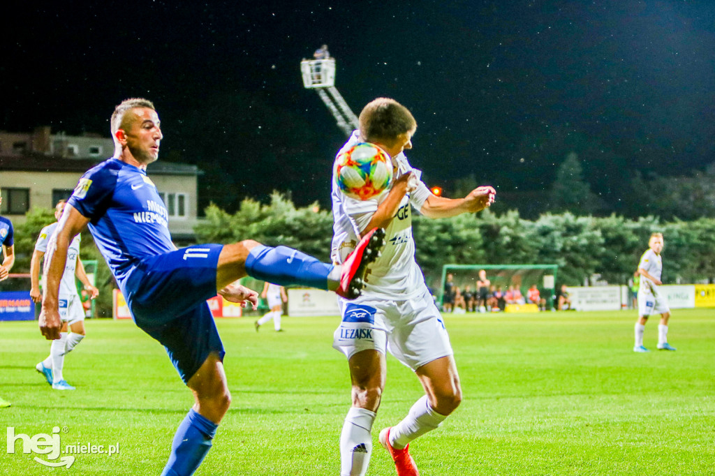Puszcza Niepołomice - PGE FKS Stal Mielec