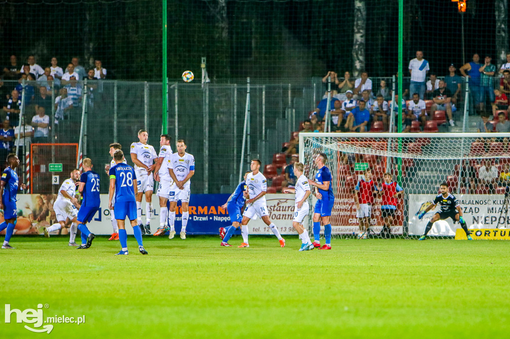 Puszcza Niepołomice - PGE FKS Stal Mielec