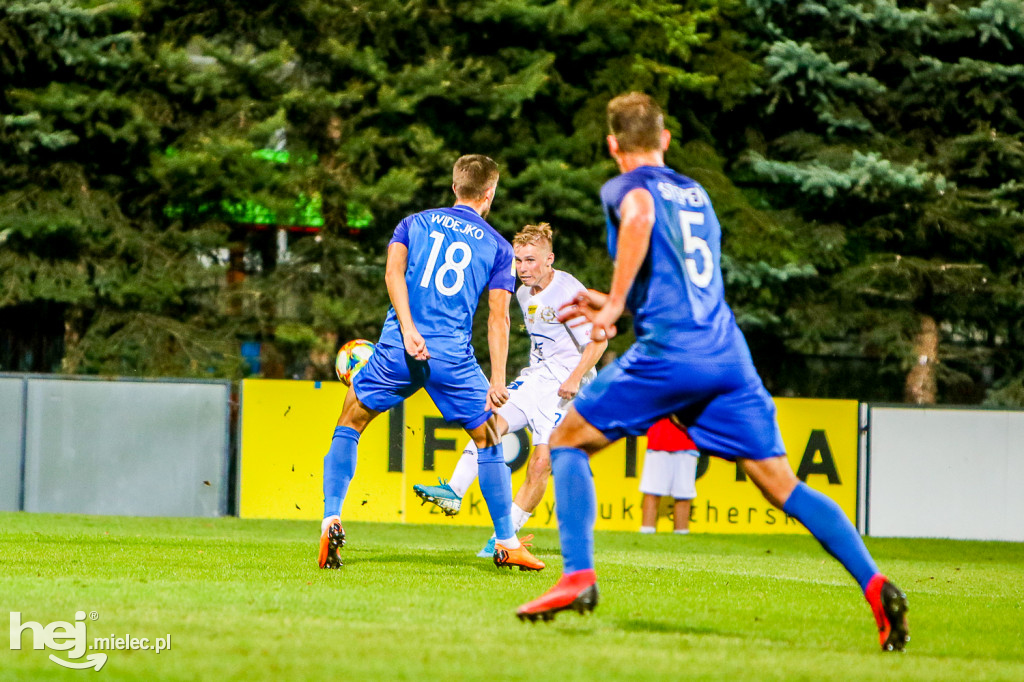 Puszcza Niepołomice - PGE FKS Stal Mielec