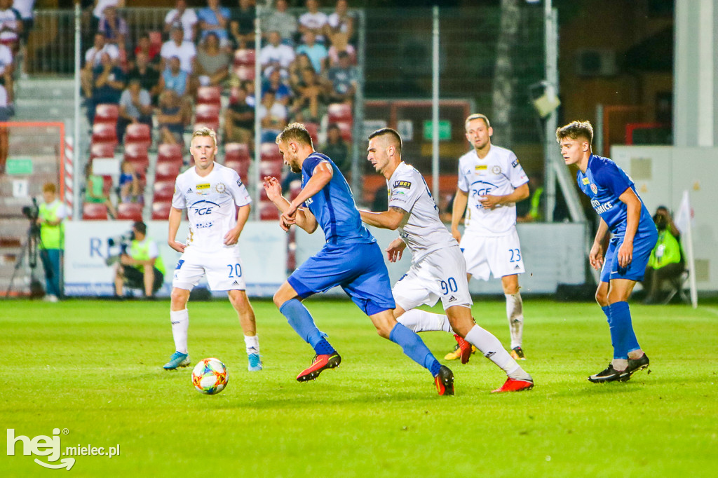 Puszcza Niepołomice - PGE FKS Stal Mielec