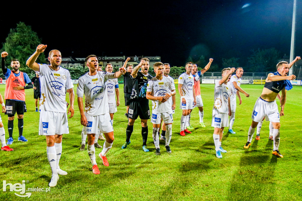 Puszcza Niepołomice - PGE FKS Stal Mielec