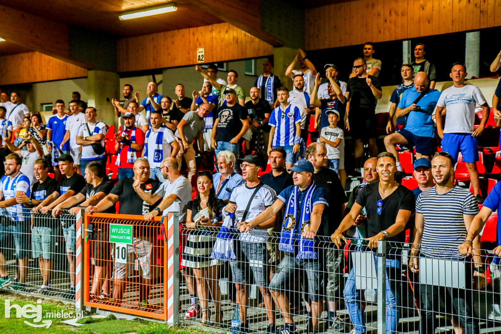 Puszcza Niepołomice - PGE FKS Stal Mielec