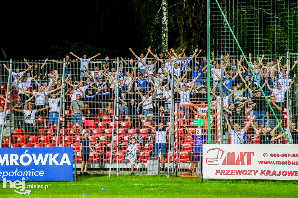 Puszcza Niepołomice - PGE FKS Stal Mielec