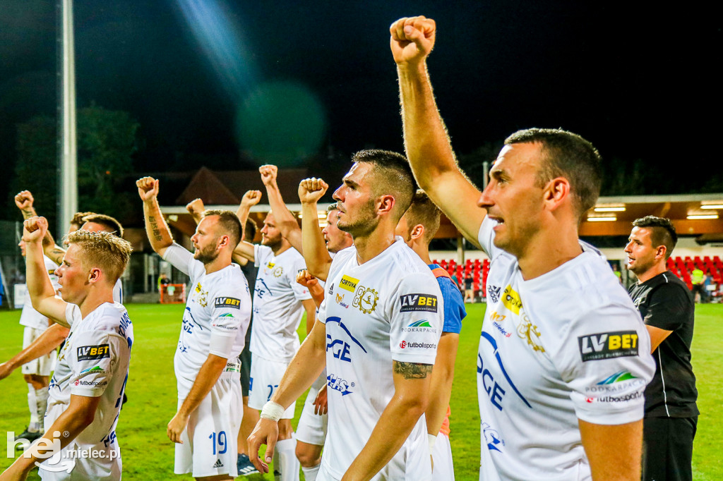 Puszcza Niepołomice - PGE FKS Stal Mielec
