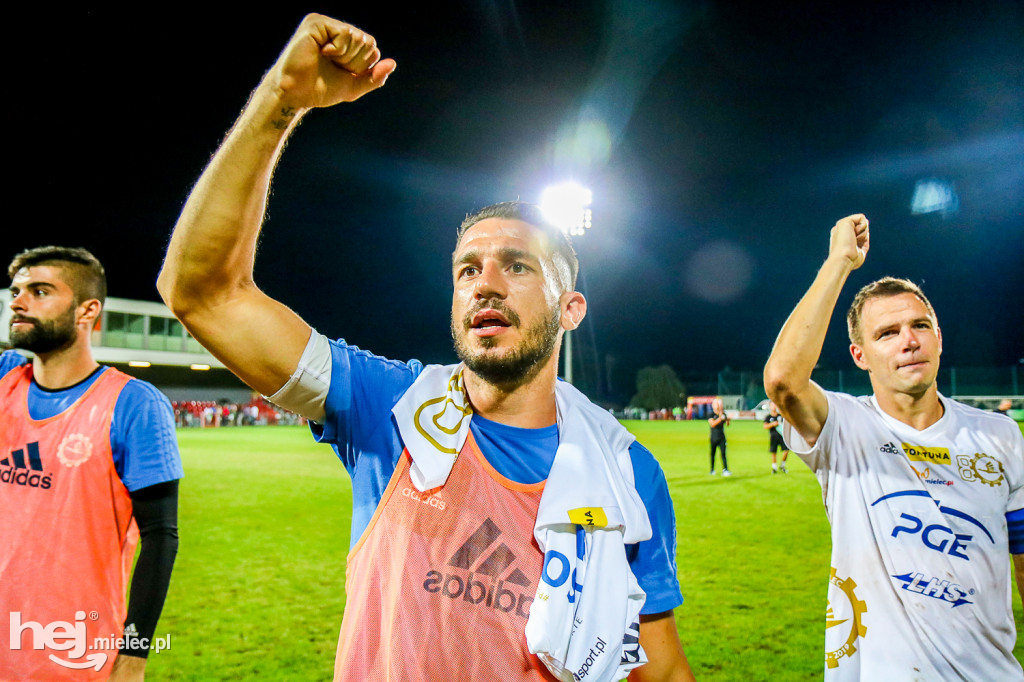 Puszcza Niepołomice - PGE FKS Stal Mielec