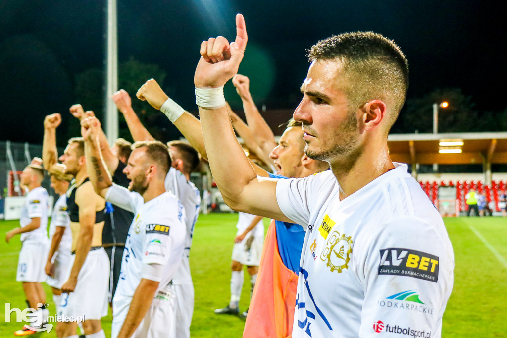 Puszcza Niepołomice - PGE FKS Stal Mielec