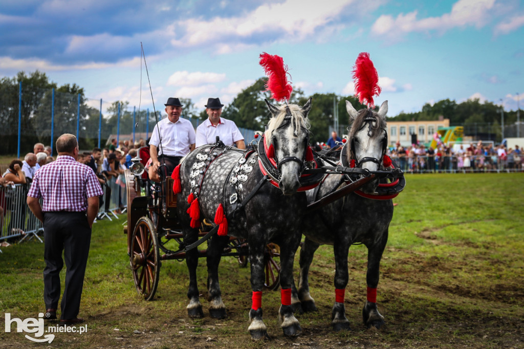 XI Parada Konna w Żarówce