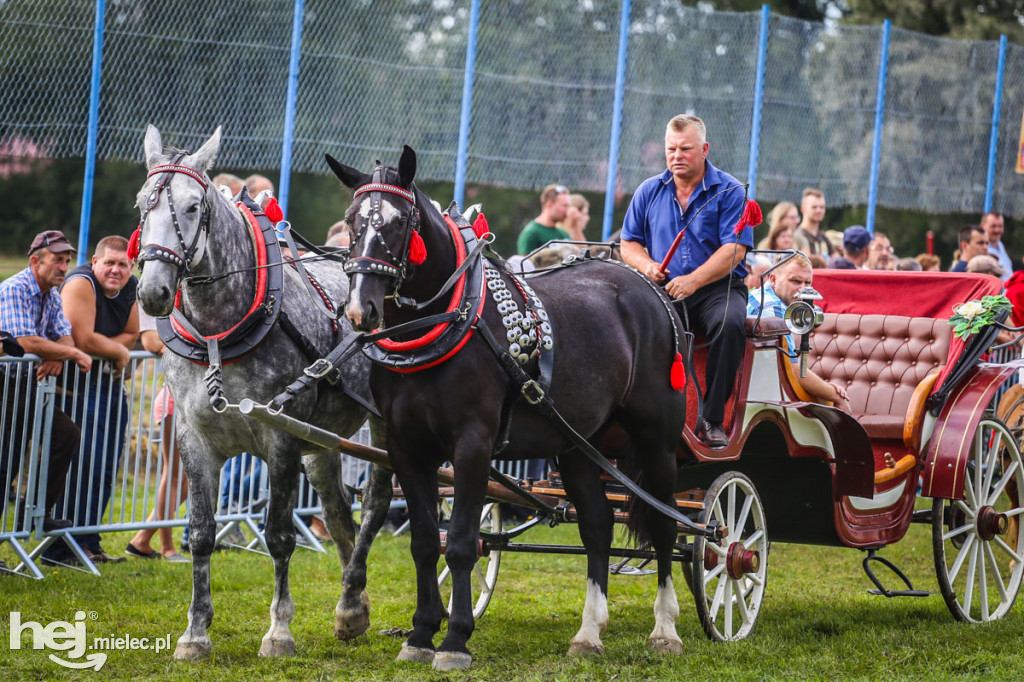 XI Parada Konna w Żarówce