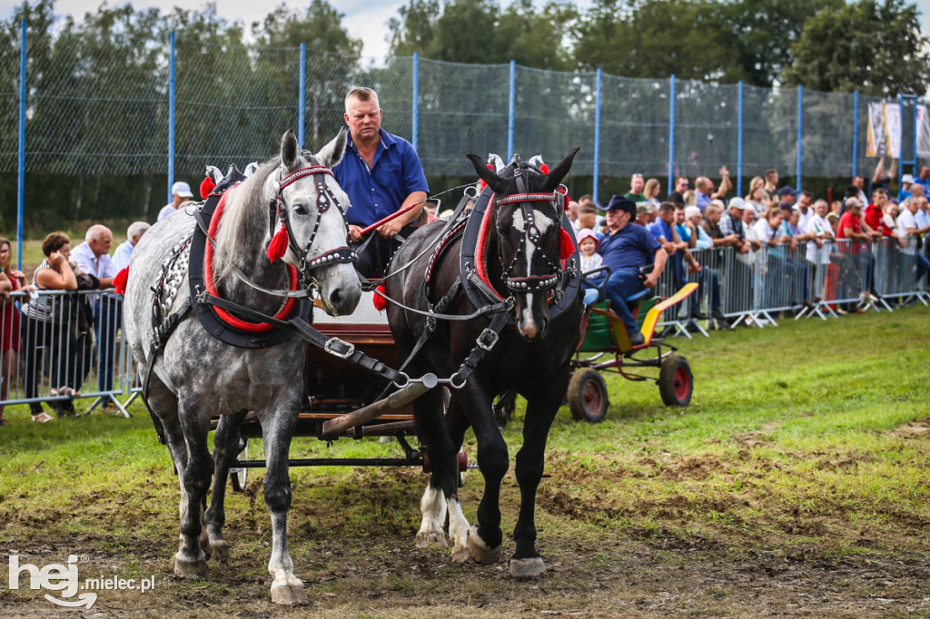 XI Parada Konna w Żarówce