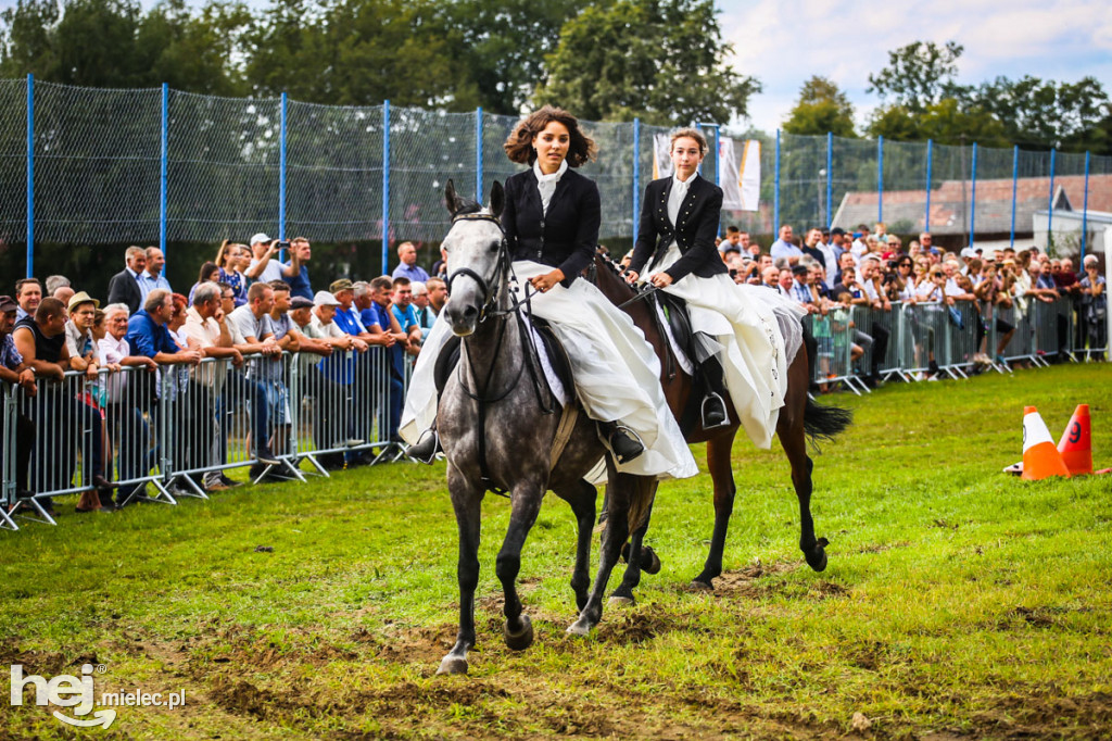 XI Parada Konna w Żarówce