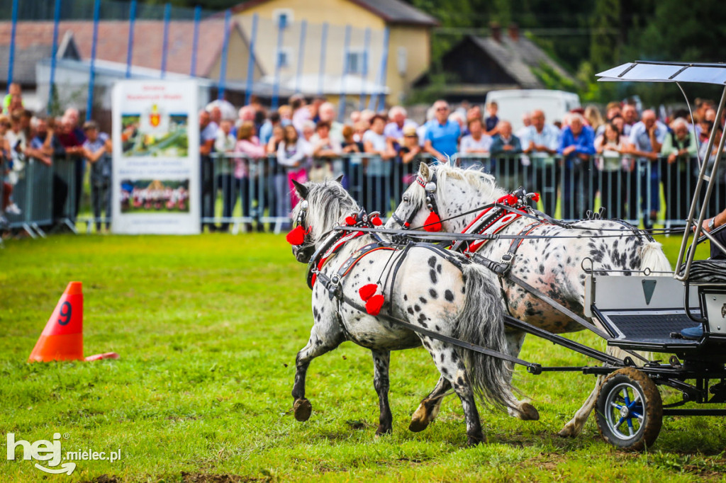 XI Parada Konna w Żarówce