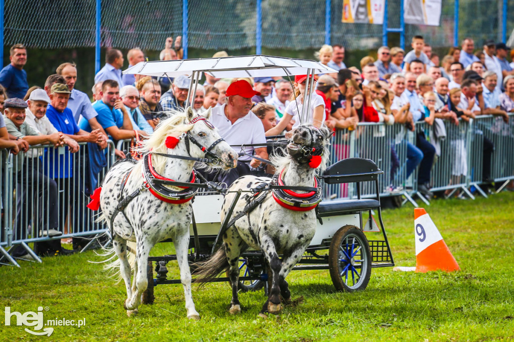 XI Parada Konna w Żarówce