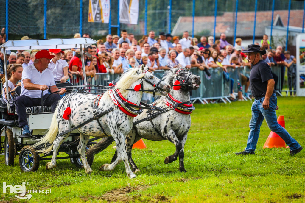 XI Parada Konna w Żarówce