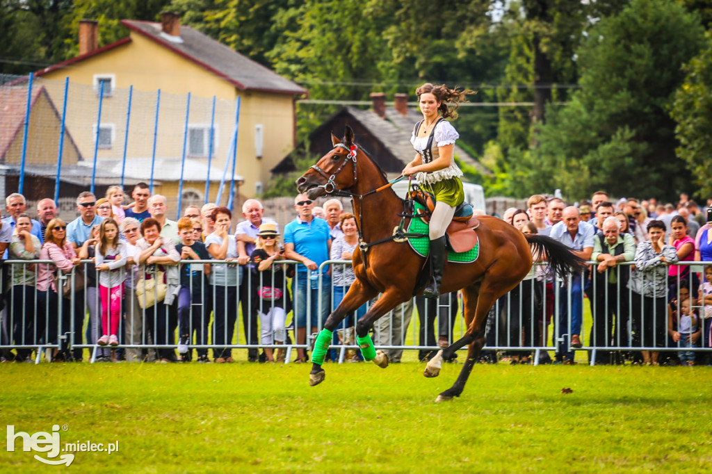 XI Parada Konna w Żarówce